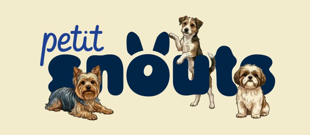 Novidades snouts: musicoterapia, climatização dos pátios e novos espaços